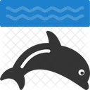 Dolphin Marine Mammal Sea Icon