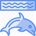 Dolphin Marine Mammal Sea Icône