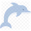 Dolphin  Icon