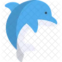 Dolphin  Icon