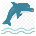 Dolphin Animal Aquarium Icon