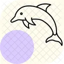 イルカ アイコン