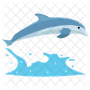 Cartoon Dolphin Jumping Cartoon Jumping Dolphin Icon