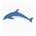 Dolphin Fish Whale Icon