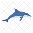 Dolphin Fish Whale Icon