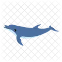 Dolphin Fish Whale Icon