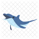 Dolphin Fish Whale Icon