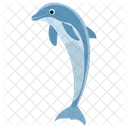 Dolphin Jumping Cartoon Jumping Dolphin Icon