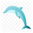 Dolphin Aquatic Fish Icon