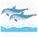 Dolphins Jumping Cartoon Jumping Dolphin Icon