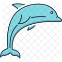 Dolphin Bio Sonar Bottle Nose Icon
