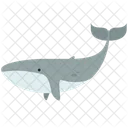 Dolphin Animal Wild Icon