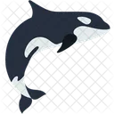 Dolphin  Icône