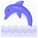 Aquatic Mammal Dolphin Orcas Icon