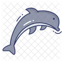 Dolphin Sea Life Aquatic Icon