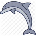 Dolphin Sea Animal Icon