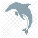 Dolphin Mammal Animal Icon
