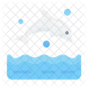 Dolphin  Icon