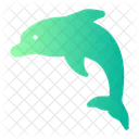 Dolphin  Icon
