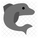 Dolphin  Icon