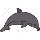 Dolphin Marine Wildlife Icon