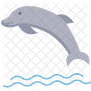 Dolphin Wildlife Water Icon