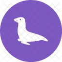 Dolphin Sea Dog Icon