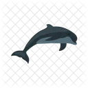 Dolphin Animal Wildlife Icon