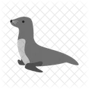 Dolphin Sea Dog Icon