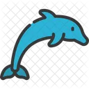 Dolphin Animal Mammal Icon