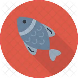 Dolphin  Icon