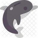 Dolphin Ocean Mammal Icon