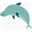 Dolphin Fish Animal Icon