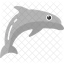 Dolphin Aquarium Fish Icon