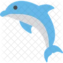 Dolphin Animal Sea Icon