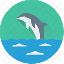 Dolphin Fish Mammal Icon