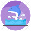 Dolphin Mammal Animal Icon