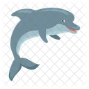 Dolphin Aquatic Fauna Icon