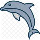 Dolphin Animal Sea Icon