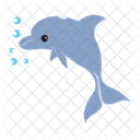 Dolphin Cetaceans Warm Blooded Icon