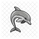 Dolphin Fish Animal Icon