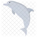 Dolphin  Icon