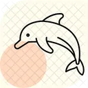 Dolphin Ocean Marine Icon