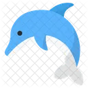 Dolphin  Icon
