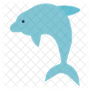 Dolphin  Icon