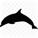 Dolphin  Icon