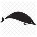 Dolphin Mammal Sea Icon