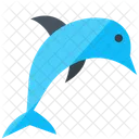 Dolphin Marine Mammal  Icon