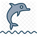 Dolphin Show Dolphin Show Icon