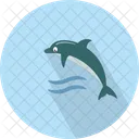 Dolphine Cetacea Sealife Icon